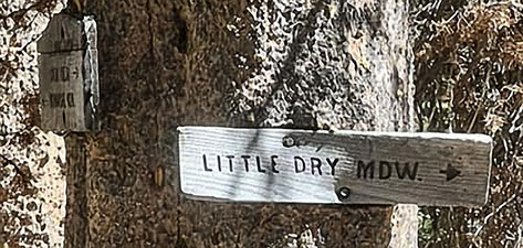 little dry meadow